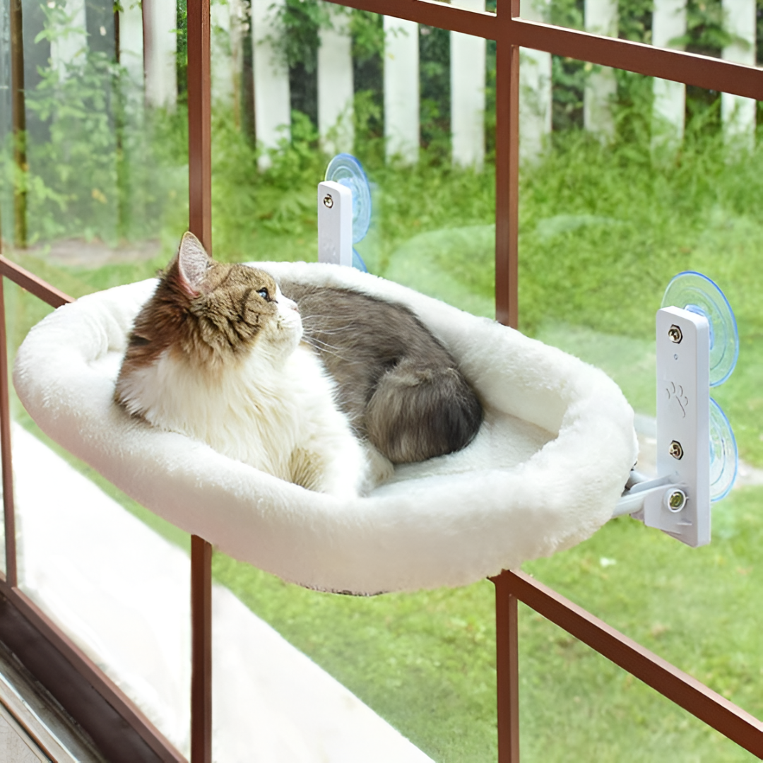 How to Choose the Perfect Pet Bed